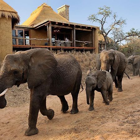 Jabulani Safari Villa Kapama Wildreservaat Buitenkant foto