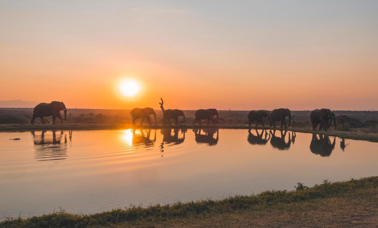 Jabulani Safari Villa Kapama Wildreservaat Buitenkant foto