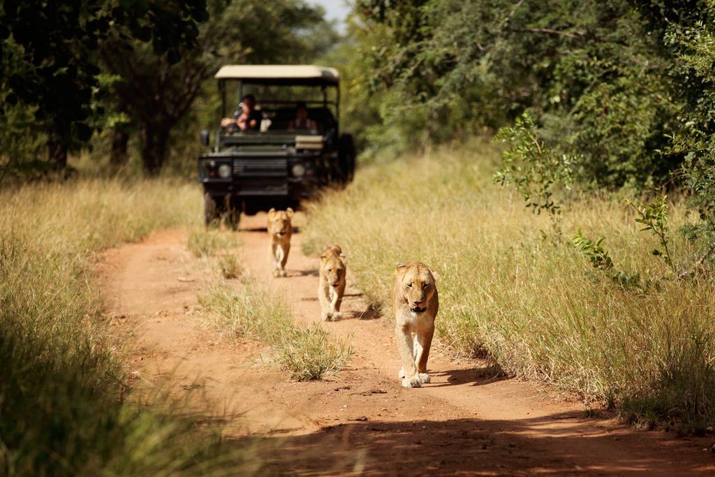 Jabulani Safari Villa Kapama Wildreservaat Buitenkant foto