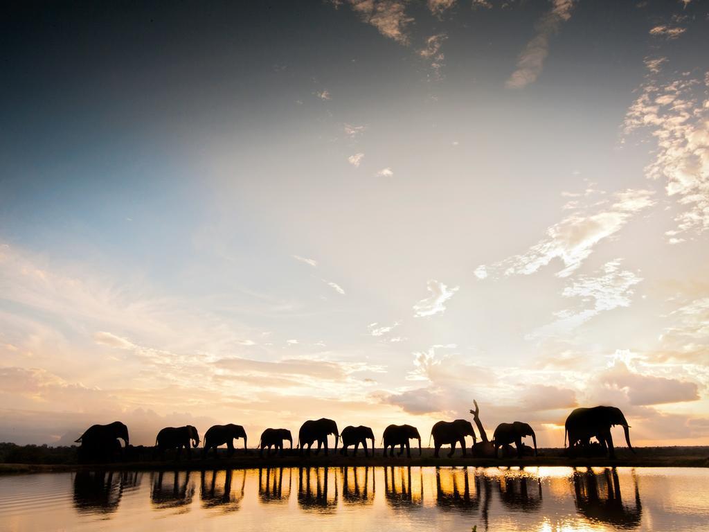 Jabulani Safari Villa Kapama Wildreservaat Buitenkant foto