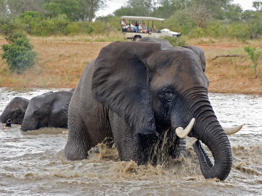 Jabulani Safari Villa Kapama Wildreservaat Buitenkant foto