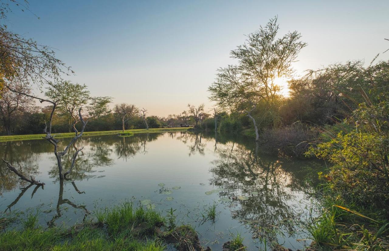 Jabulani Safari Villa Kapama Wildreservaat Buitenkant foto